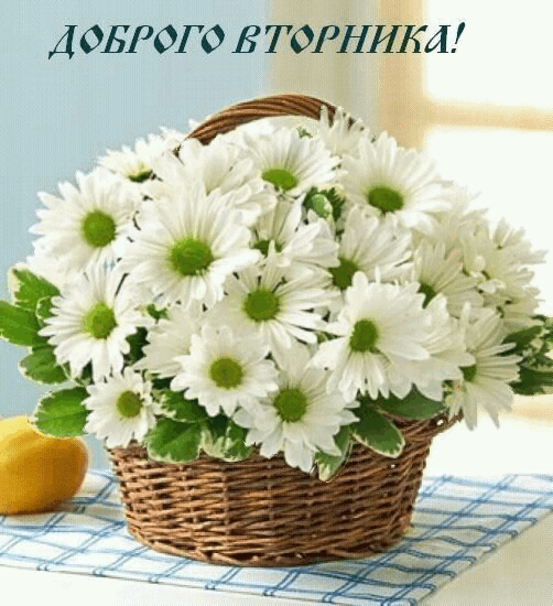 Позитивные открытки на вторник. Картинки про вторник скачать бесплатно.