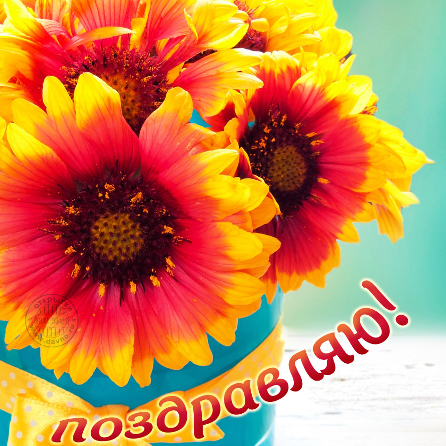 Анимационные открытки с цветами для вотсапа. Поздравительные открытки скачать...