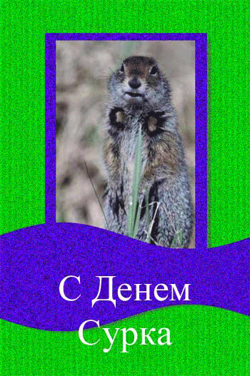 Веселые открытки с приколами на день сурка скачать бесплатно