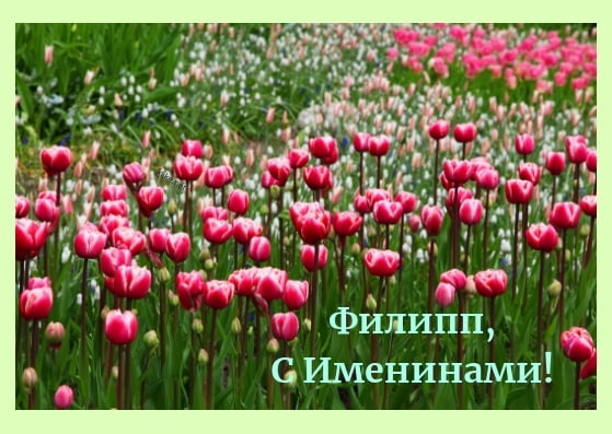 Красивые открытки с мужскими именами. С днём рождения Филипп открытки. Открыт...