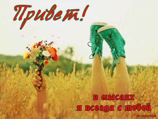 Красивые анимационные открытки с различными приветствиями скачать бесплатно.