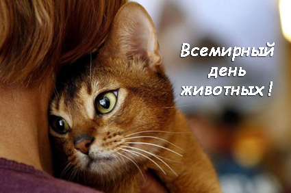 Открытки с днём защиты животных скачать бесплатно. Открытки с днём защиты жив...