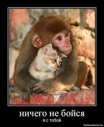 Открытки я всегда буду рядом. Открытки Открытки я рядом с тобой скачать беспл...