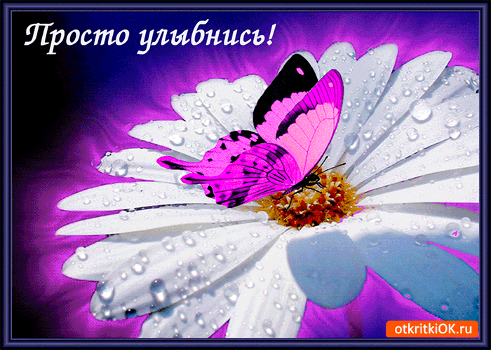 Весёлые открытки с пожеланиями улыбнись. Открытки с улыбкой скачать бесплатно.