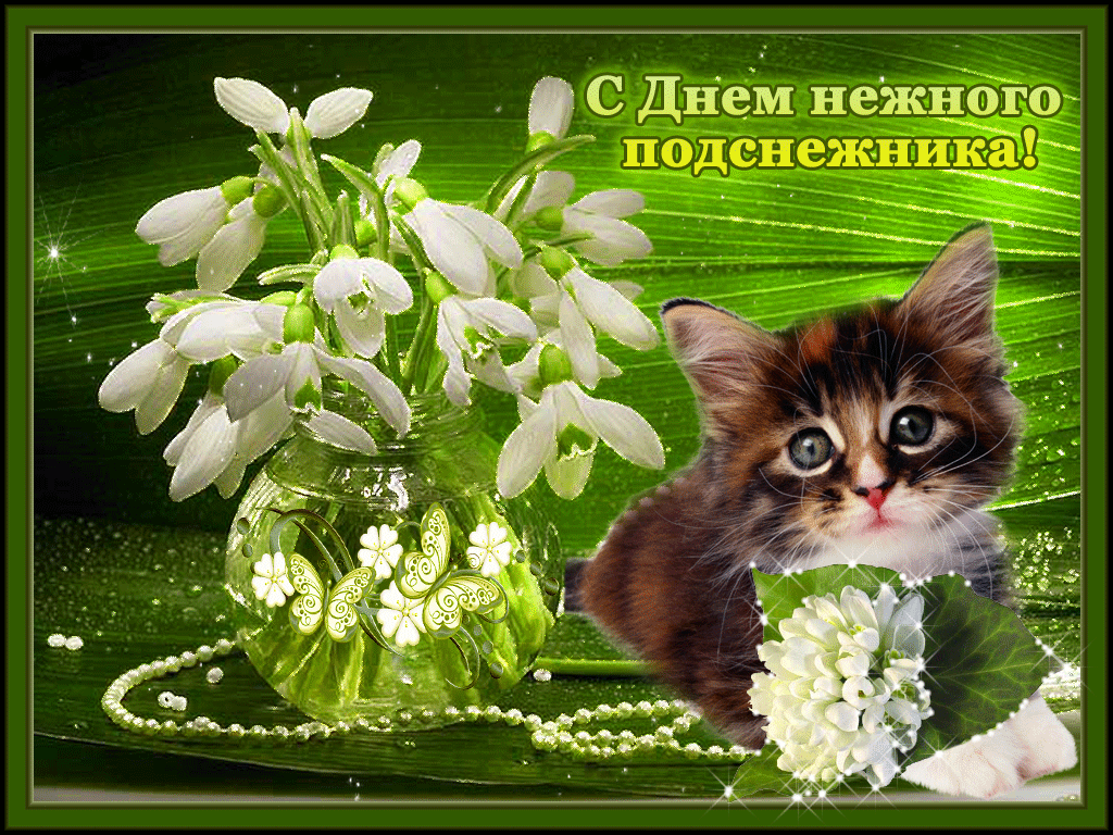 Красивые открытки с днем подснежника. Открытки с днем подснежников скачать бе...