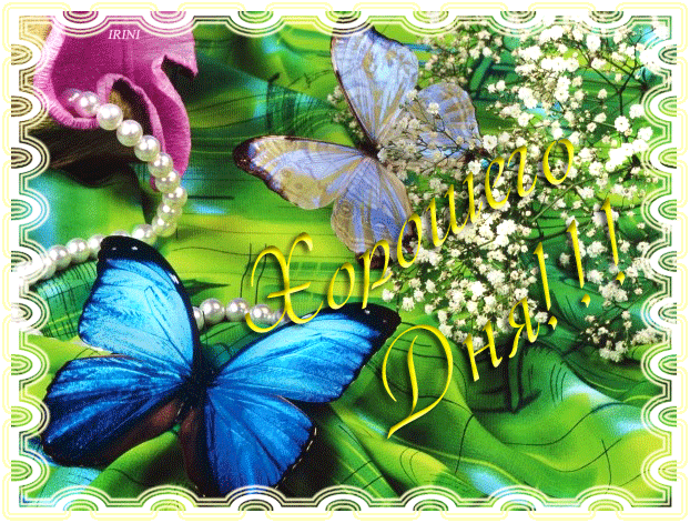 Открытки с пожеланиями хорошего дня. Скачать бесплатно открытки удачного дня.