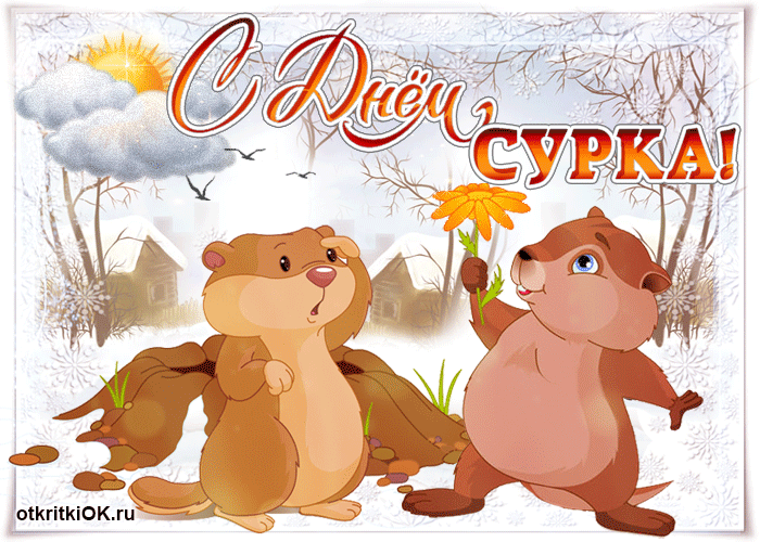 Веселые открытки с приколами на день сурка скачать бесплатно