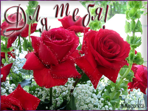 Красивые открытки для тебя скачать бесплатно. Анимационные открытки тебе gif