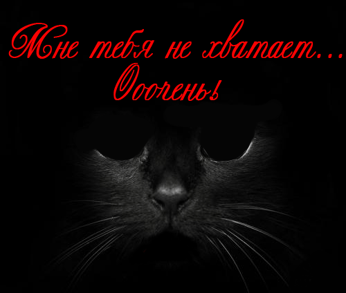 Открытки я жду тебя gif. Открытки возвращайся скорее скачать бесплатно.