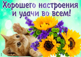 Открытки желаю удачи скачать бесплатно. Красивые открытки с пожеланиями удачи.