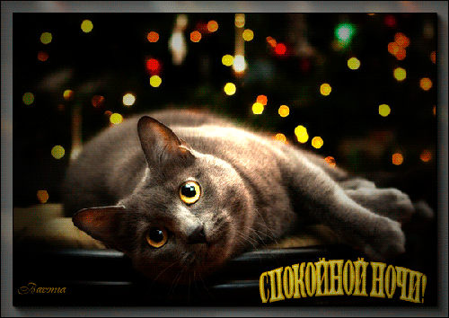 Gif анимации открыток спокойной ночи. Открытки с пожеланиями на ночь.