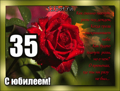 Пожелания на день рождения 35 лет. Открытки с юбилеем 35 лет анимационные. 