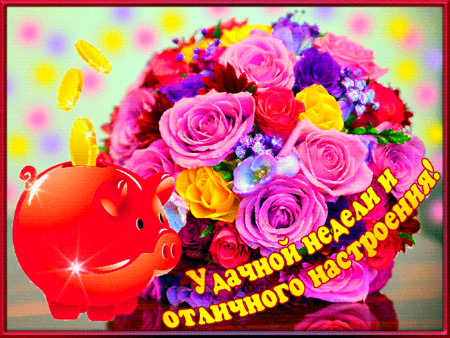 Забавные открытки с пожеланиями удачной недели. Открытки удачной недели скача...