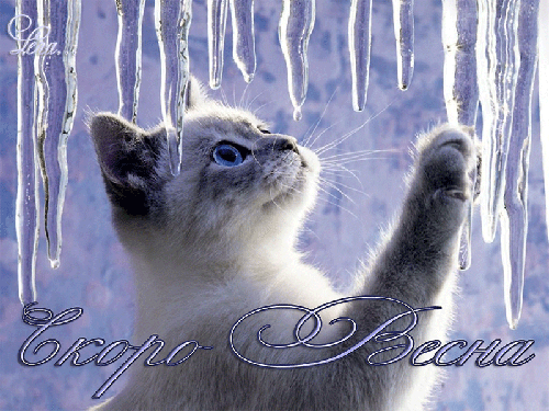 Красивые мерцающие открытки на весеннюю тематику. Скачать бесплатно открытки ...