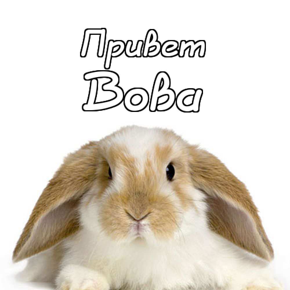 Поздравительные открытки с именем Владимир. Картинки с надписью Вова ты лучший.