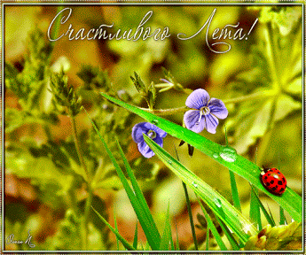 Открытки на тему лета скачать бесплатно. Анимационные открытки про лето.