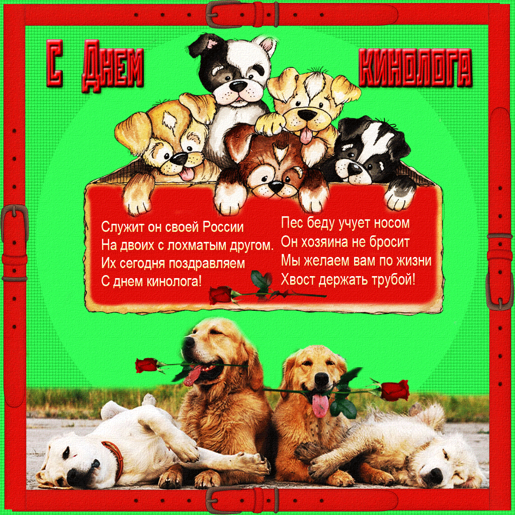 Открытки с пожеланиями на день кинолога скачать бесплатно.    