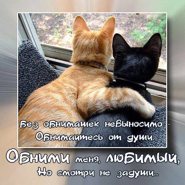Открытки хочу тебя обнять. Открытки крепко обнимаю скачать бесплатно.
