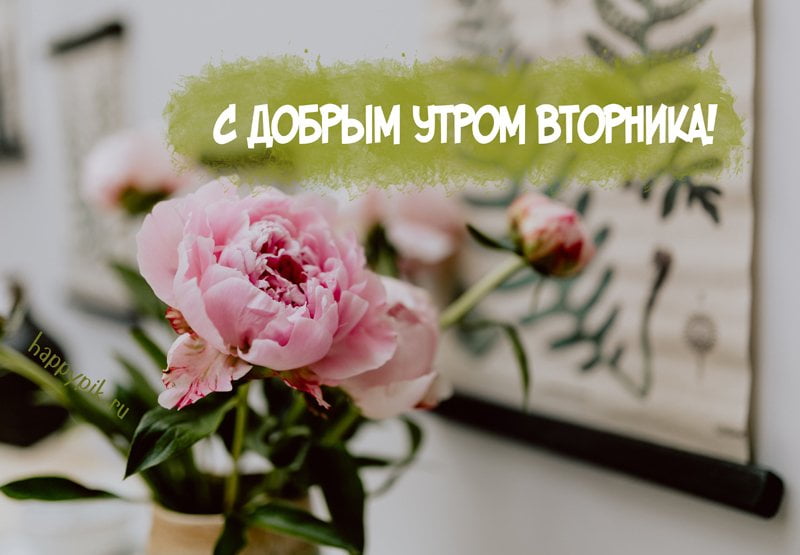 Позитивные открытки на вторник. Картинки про вторник скачать бесплатно.