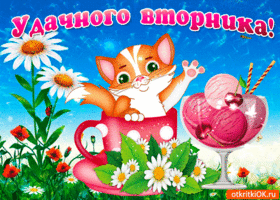 Позитивные открытки на вторник. Картинки про вторник скачать бесплатно.