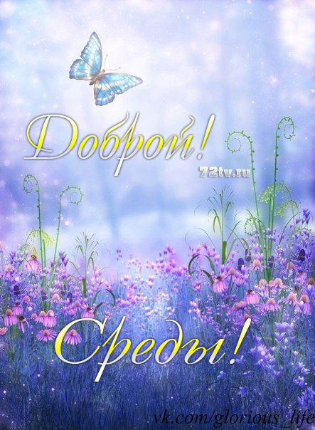Открытки с пожеланиями отличной среды. Красивые открытки на среду.