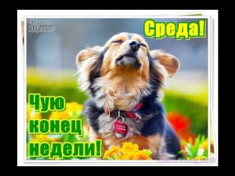 Открытки с пожеланиями отличной среды. Красивые открытки на среду.