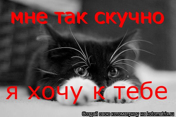 Анимационные открытки хочу к тебе. Мерцающие картинки хочу к тебе.