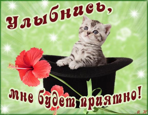 Весёлые открытки с пожеланиями улыбнись. Открытки с улыбкой скачать бесплатно.