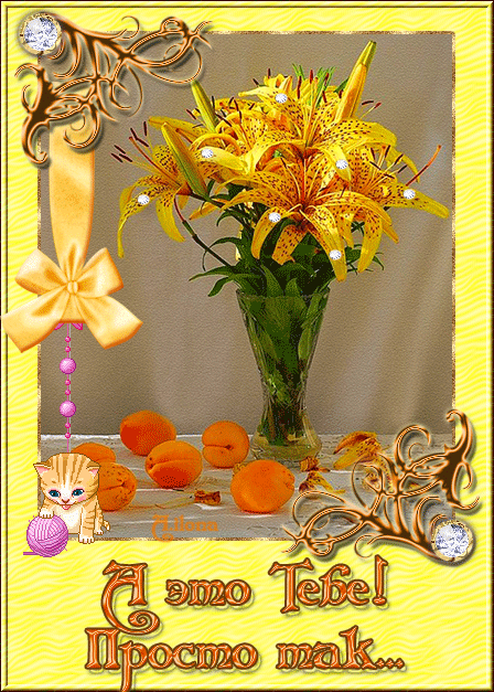 Красивые открытки для тебя скачать бесплатно. Анимационные открытки тебе gif