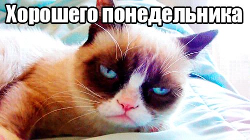 Открытки с наилучшими пожеланиями на понедельник. Открытки на понедельник ска...