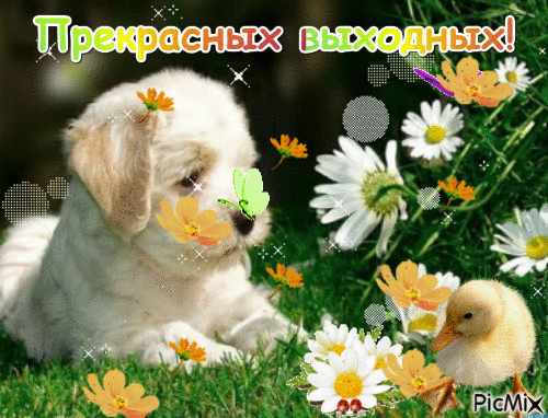 Красивые открытки замечательных выходных. Открытки хороших выходных скачать б...
