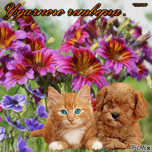 Анимационные открытки доброго утра и отличного четверга скачать бесплатно.