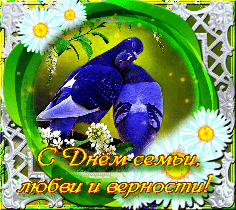 Открытки с красивыми пожеланиями на день семьи, любви и верности.