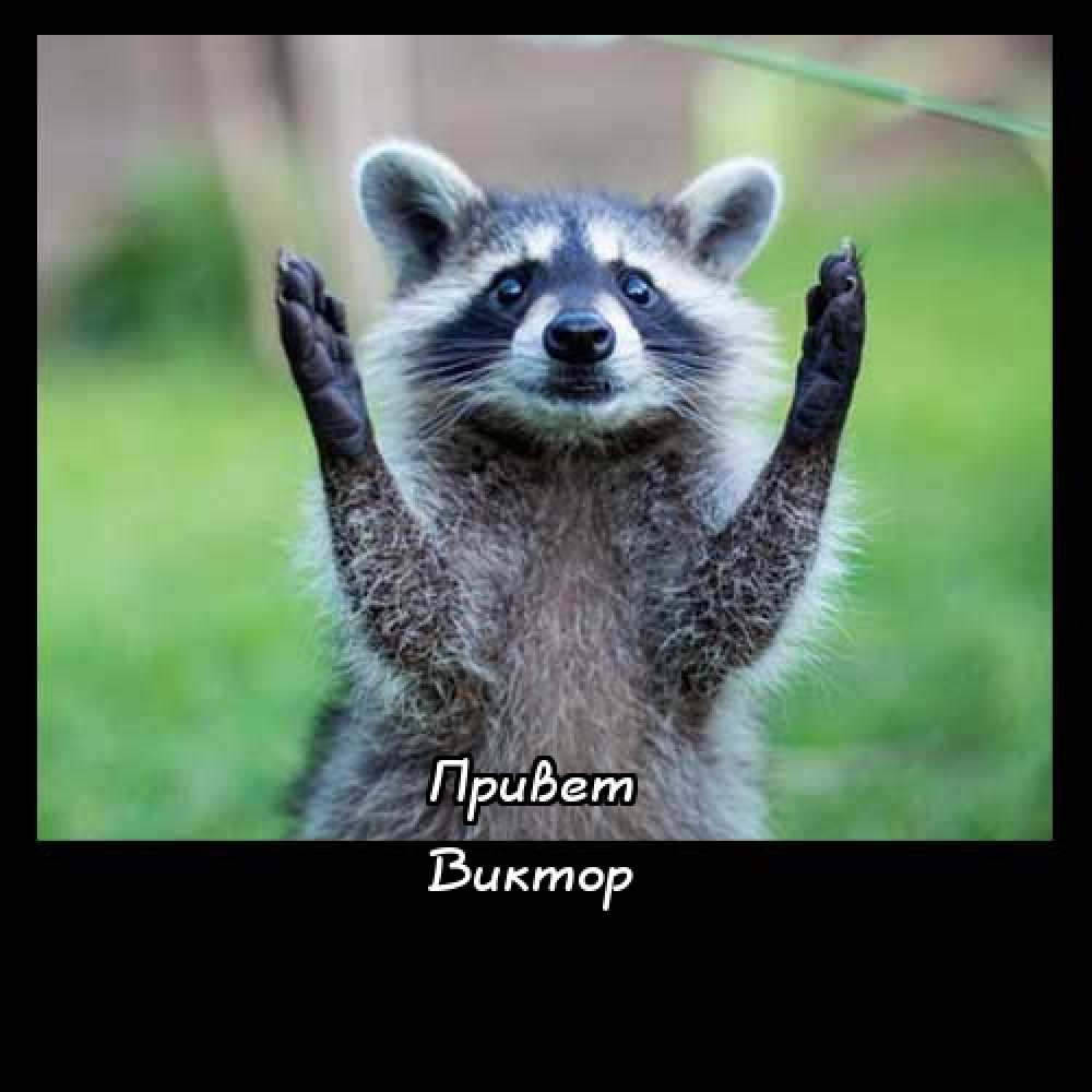 Скачать открытки с именем Витя. Открытки с днём рождения Виктору.