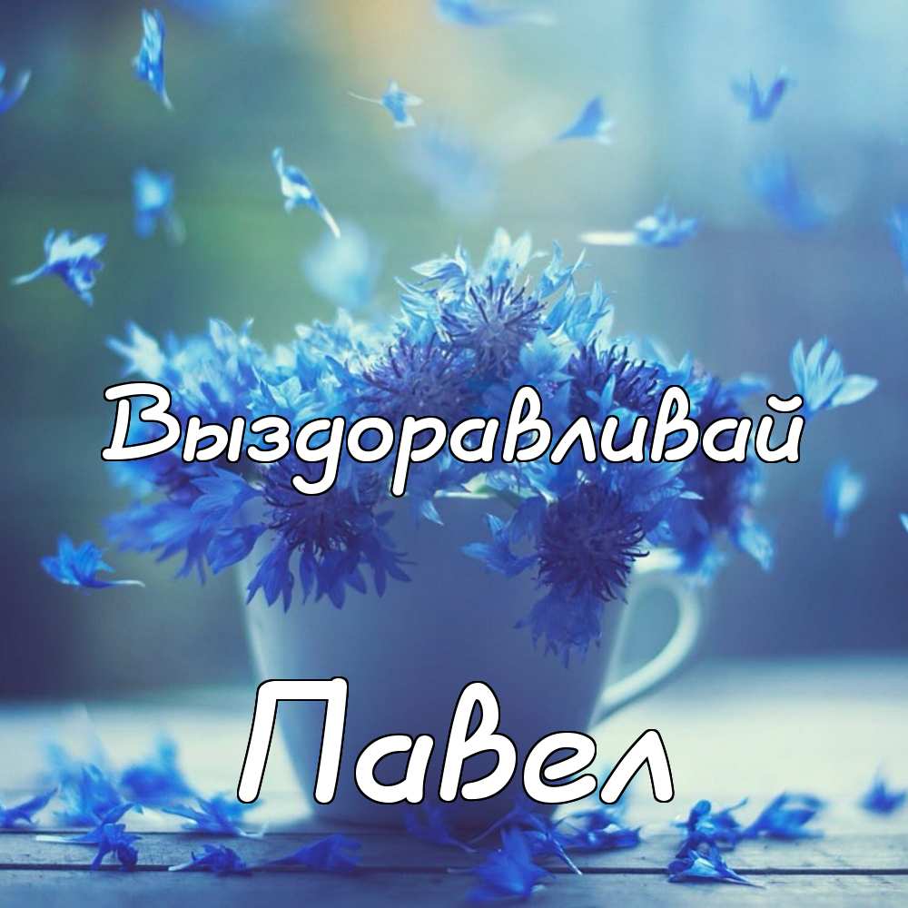 Анимационные открытки с именем Павел. Открытки с именем Паша. С днём рождения...