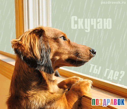 Анимационные открытки скучаю по тебе. Открытки я так скучаю скачать бесплатно.