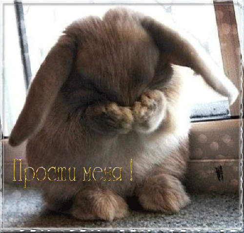 Красивые открытки с извинениями скачать бесплатно. Открытки прости меня gif.