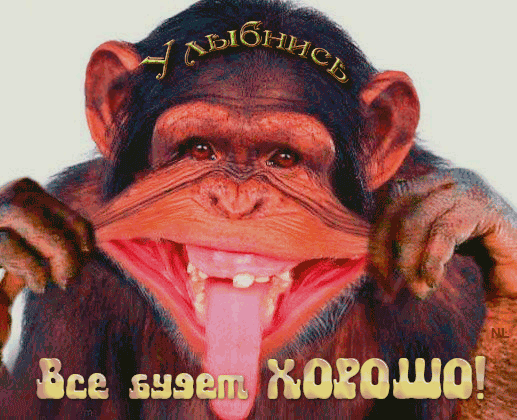 Весёлые открытки с пожеланиями улыбнись. Открытки с улыбкой скачать бесплатно.