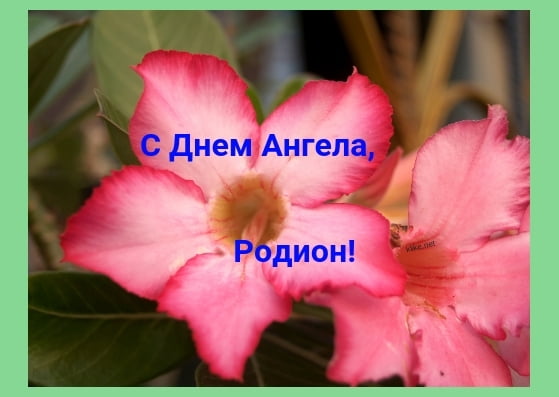 Открытки с именем Родион скачать бесплатно. Поздравительные открытки с именем...