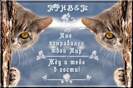 Открытки я жду тебя gif. Открытки возвращайся скорее скачать бесплатно.