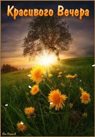 Анимационные открытки приятного вечера. Скачать бесплатно открытки хорошего в...