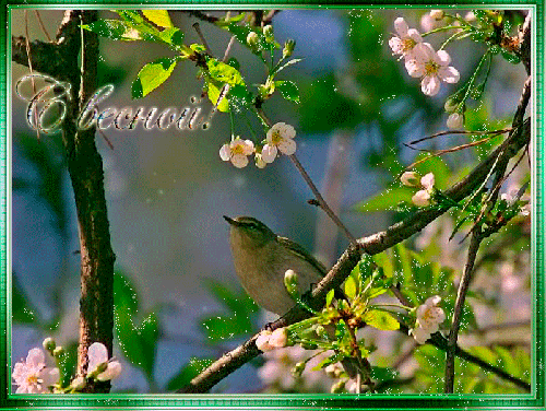 Красивые мерцающие открытки на весеннюю тематику. Скачать бесплатно открытки ...