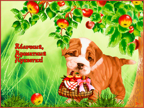 Открытки на тему лета скачать бесплатно. Анимационные открытки про лето.