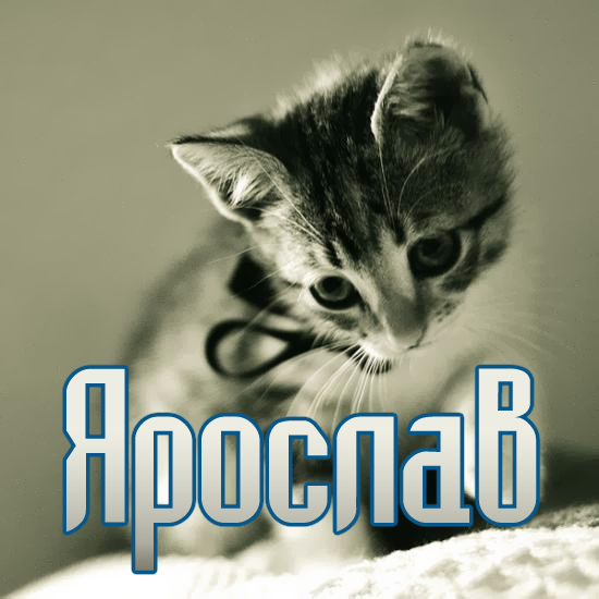 С днём рождения Ярослав открытки. Открытки с именем Ярик. Поздравительные отк...