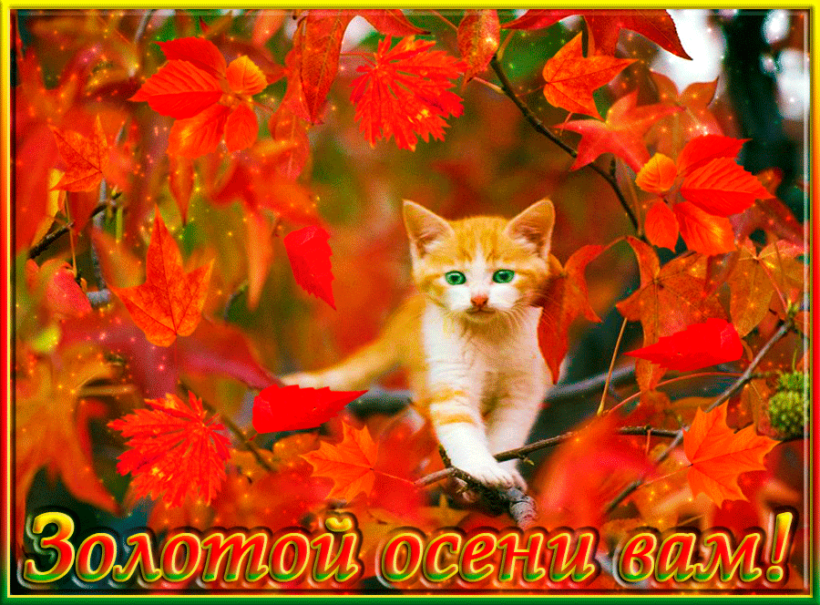 Чудесные открытки на тему Золотая Осень скачать бесплатно gif.