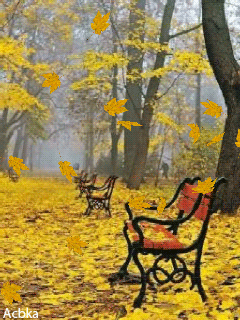 Оригинальные открытки с изображением осени. Открытки осень скачать бесплатно.