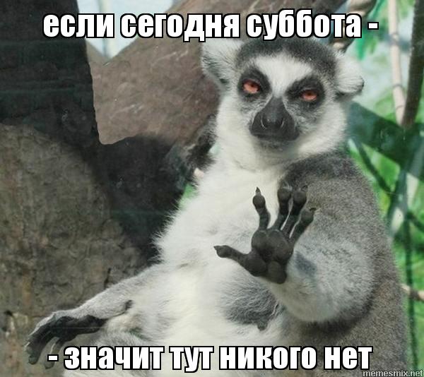 Интересные открытки на субботу. Веселые открытки на выходные.