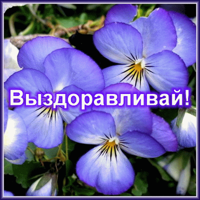 Открытки скорейшего выздоровления скачать бесплатно в формате gif.