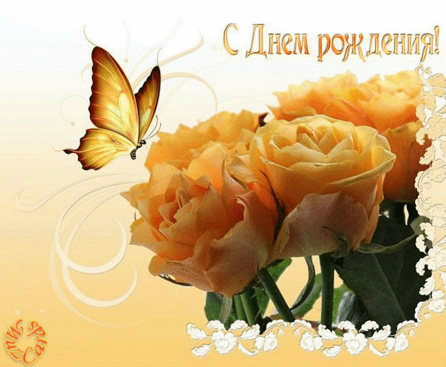 Мерцающие открытки с бабочками. Открытки с красивыми бабочками скачать беспла...