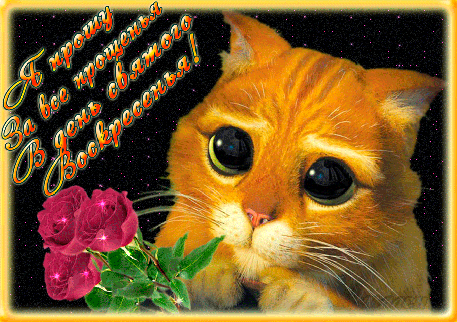 Красивые открытки с извинениями скачать бесплатно. Открытки прости меня gif.